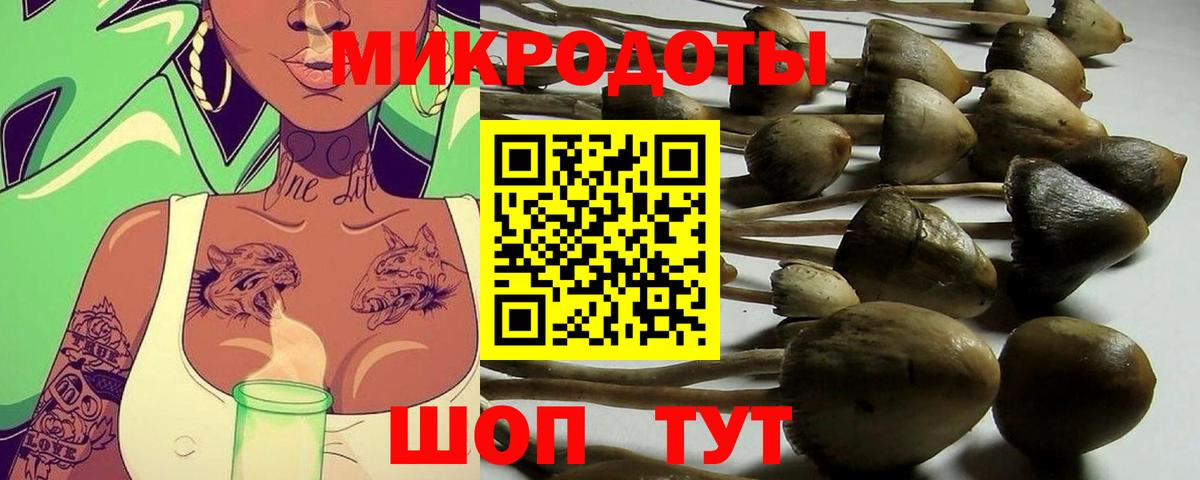 Галлюциногенные грибы прущие грибы  Вход с VPN  Уварово  Псилоцибиновые грибы мухоморы 