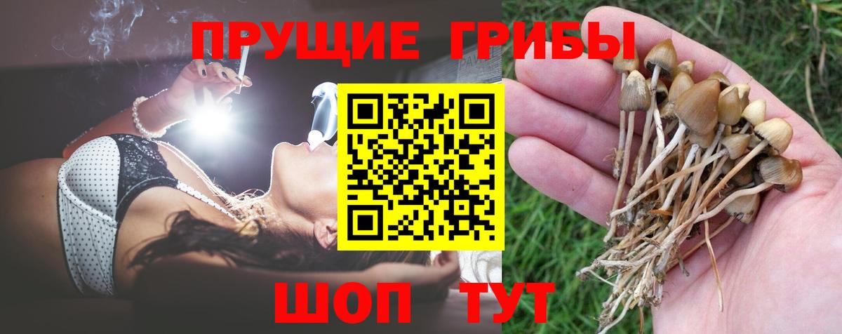 Псилоцибиновые грибы мицелий Уварово